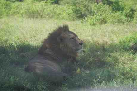 kenya07.jpg
