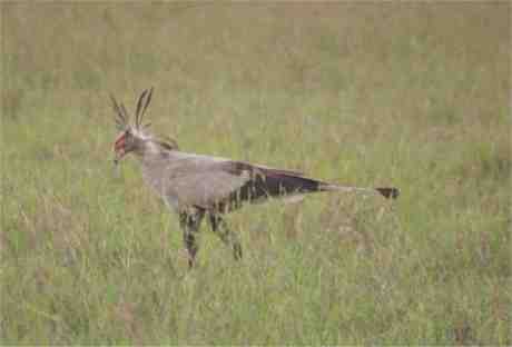 kenya08.jpg